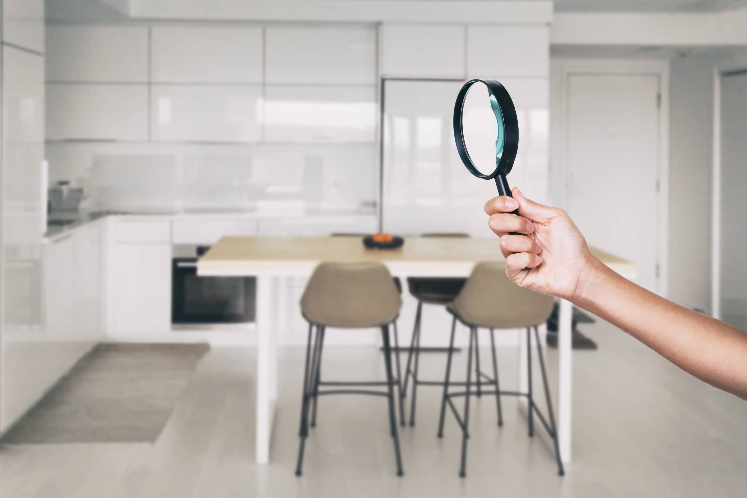 Step 3: Inspections and Due Diligence